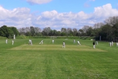 General Cricket